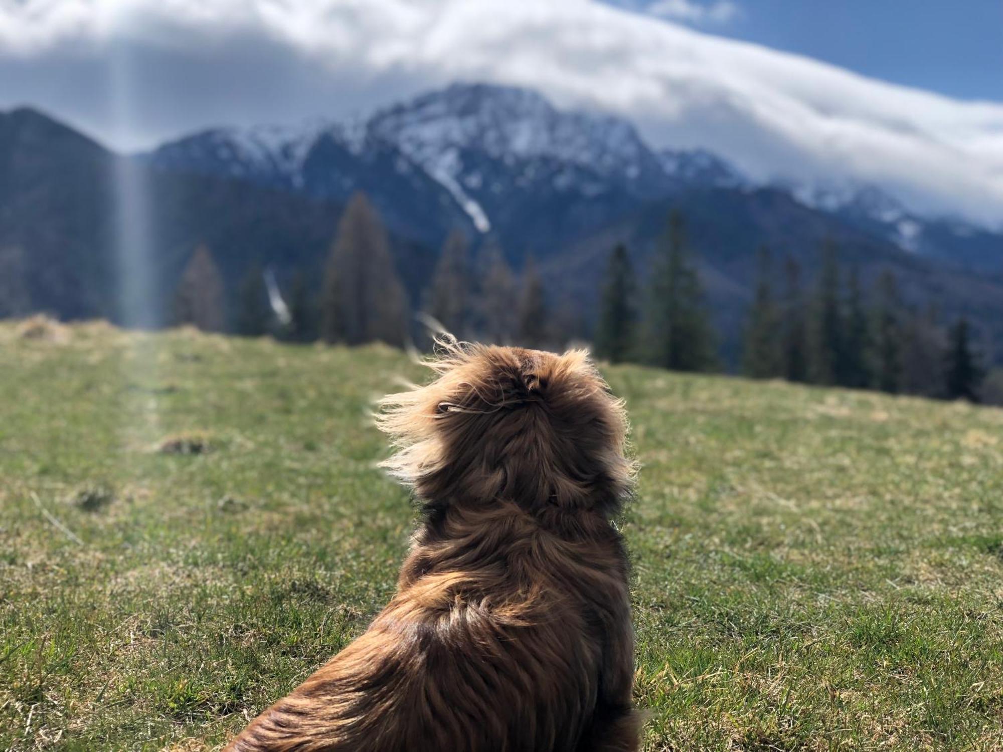 Geovita Zakopane Luaran gambar