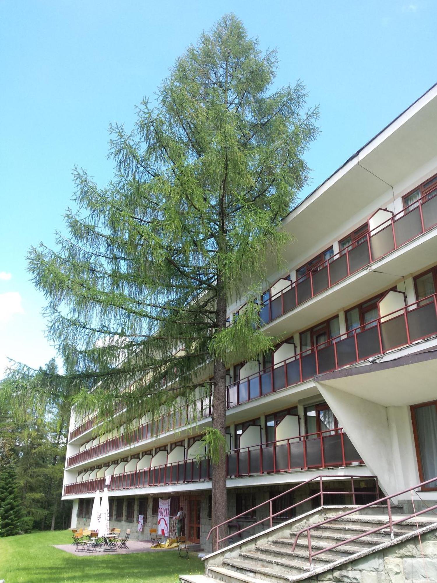 Geovita Zakopane Luaran gambar